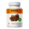 MycoMedica Phellinus 90 vegetable capsules