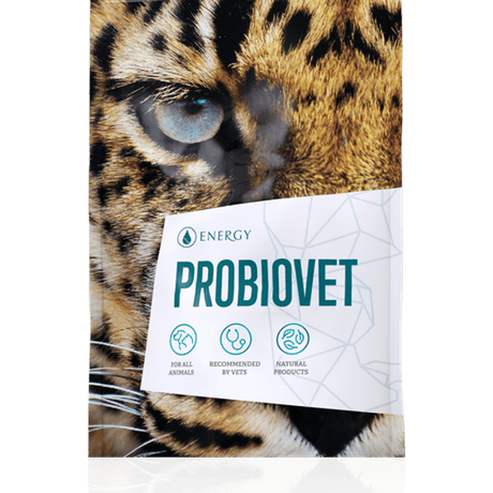 Energy Probiovet 90 tabliet